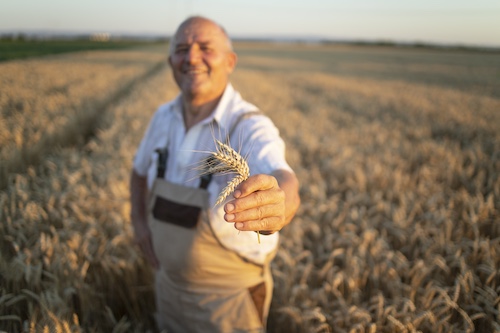 agriculture-ukraine