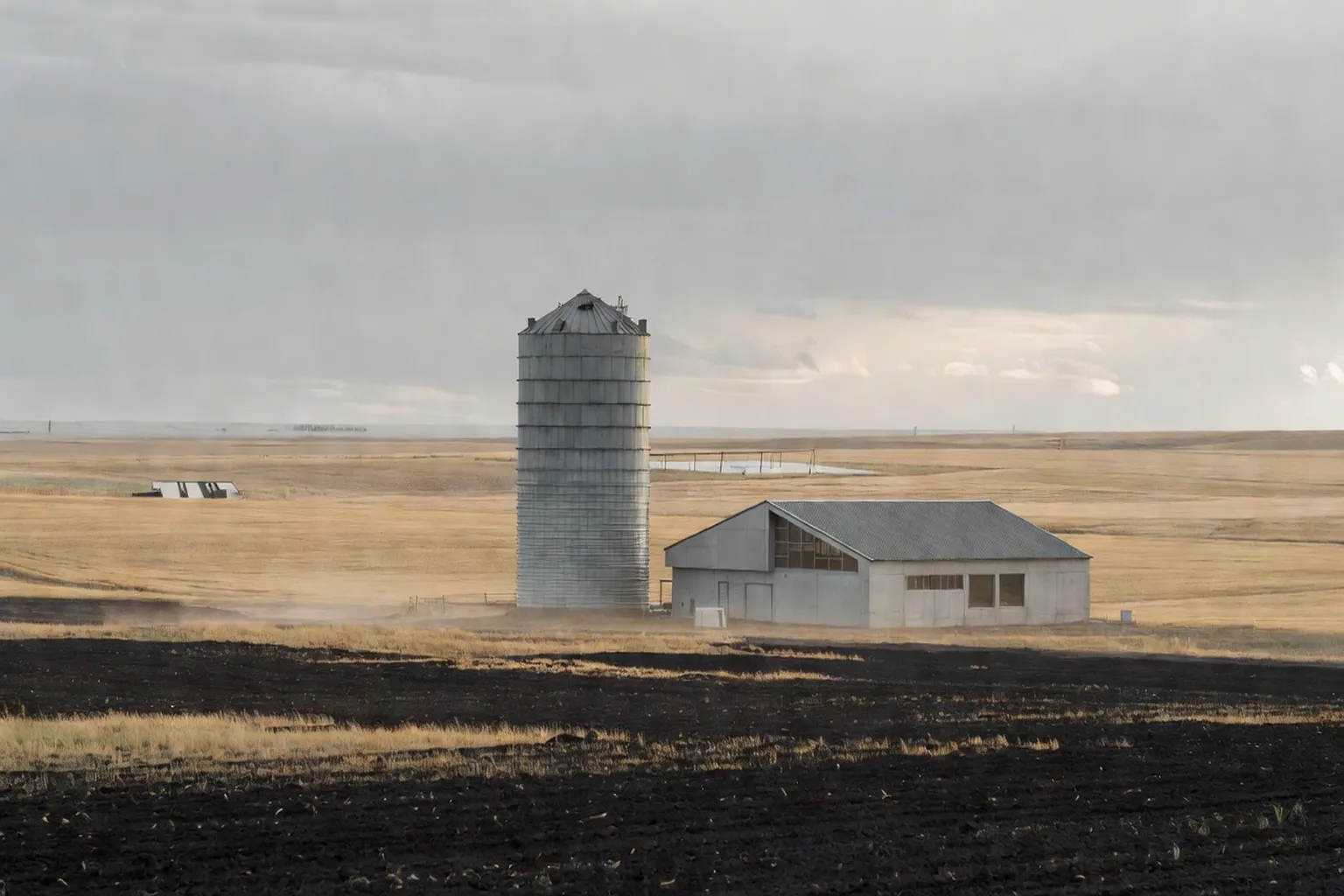 Récolte de blé dans la plaine du Kuban, kraï de Krasnodar — agriculture russe 2026