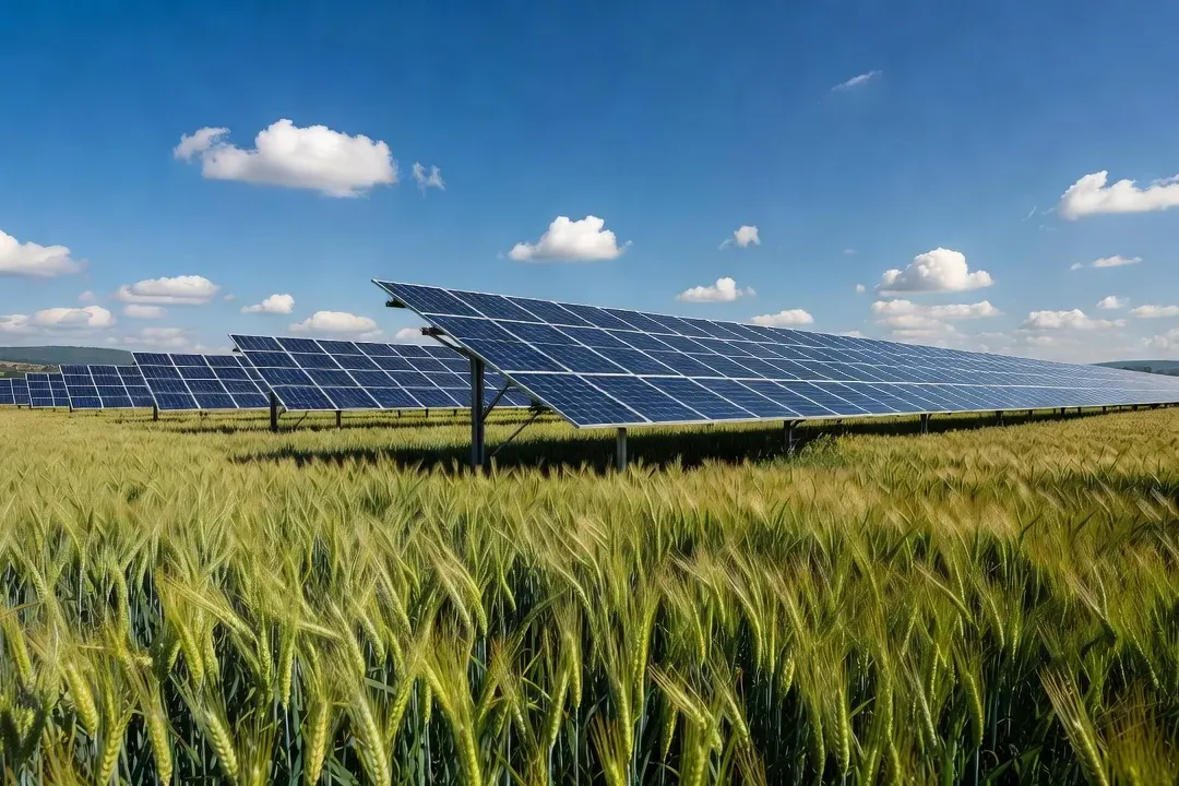 Agrivoltaïsme en Europe de l'Est — panneaux solaires au-dessus de cultures agricoles