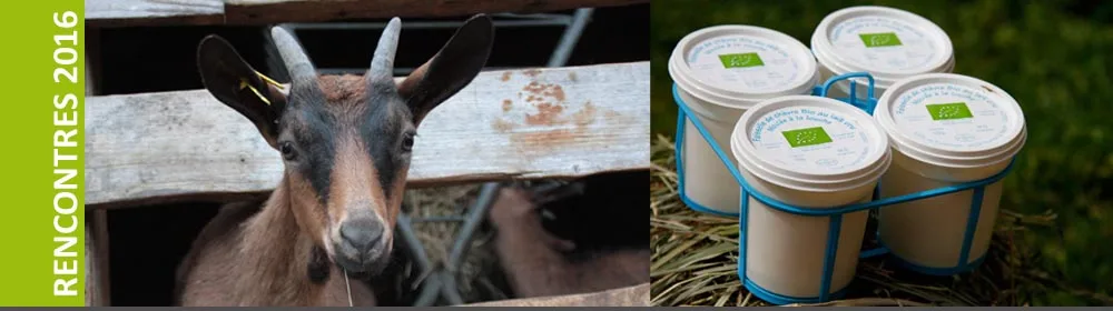 Développement rural