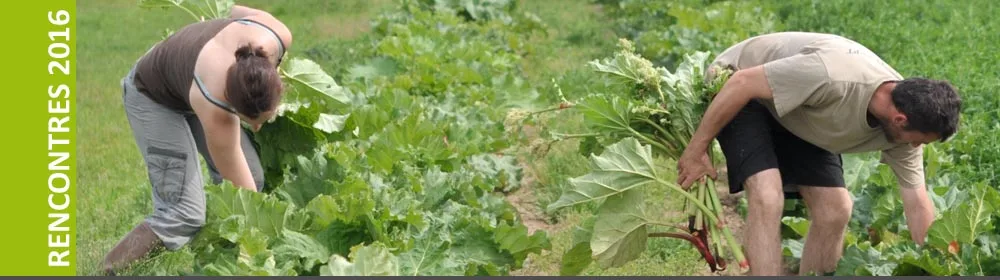 Coopération agricole